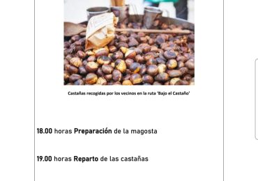 Magosta Tolana, el sábado 21