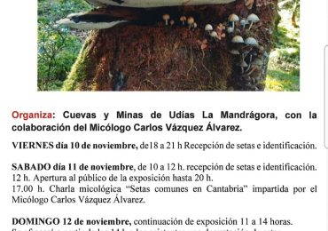 Ruiloba acogerá el 11 y 12 de noviembre su I Exposición Micológica