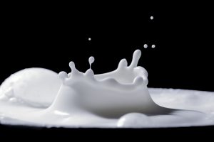 El queso más grande de España se elaborará con 480  litros de leche y pesará 120 kilos