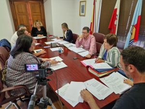 Sesión plenaria de 29 de mayo de 2024