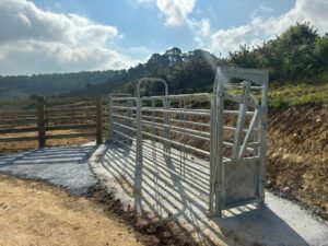 El Parque de la Madera estrena paso ganadero
