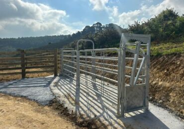 El Parque de la Madera estrena paso ganadero