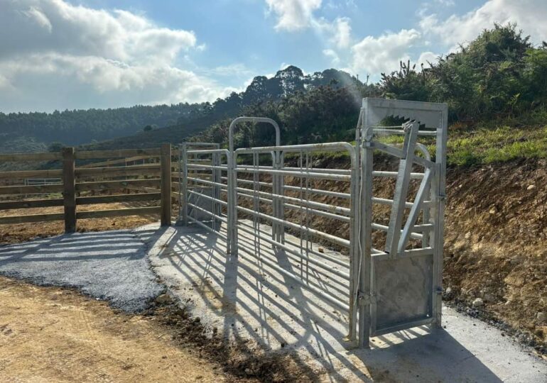 El Parque de la Madera estrena paso ganadero