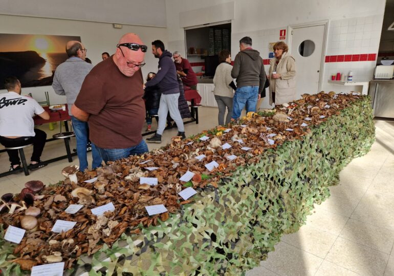 Las setas cobran protagonismo en Ruiloba