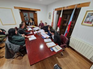 Pleno de 26 de noviembre de 2024