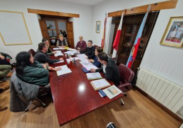 Pleno de 26 de noviembre de 2024