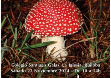 Ruiloba celebrará el sábado sus jornadas micológicas