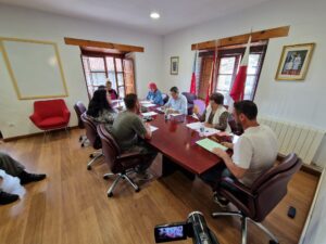 Pleno12 de junio de 2025
