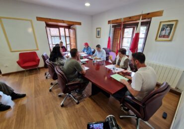 Pleno12 de junio de 2025