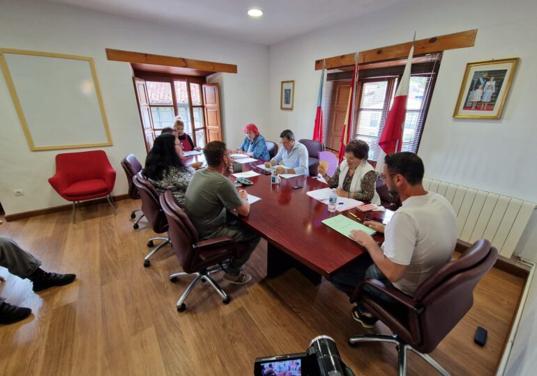 Pleno12 de junio de 2025